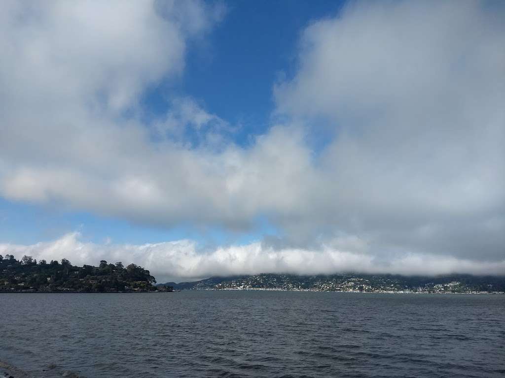 Tiburon Blvd & Gilmartin Dr | Tiburon, CA 94920