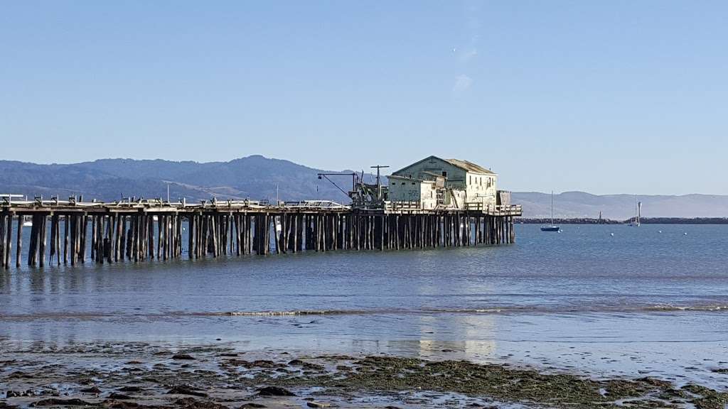 West Point Parking Lot | w 94038, 22 W Point Ave, Moss Beach, CA 94038, USA