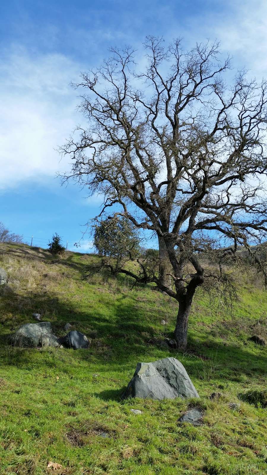 Sunol Regional Wilderness | 1895 Geary Rd, Sunol, CA 94586, USA | Phone: (510) 544-3249