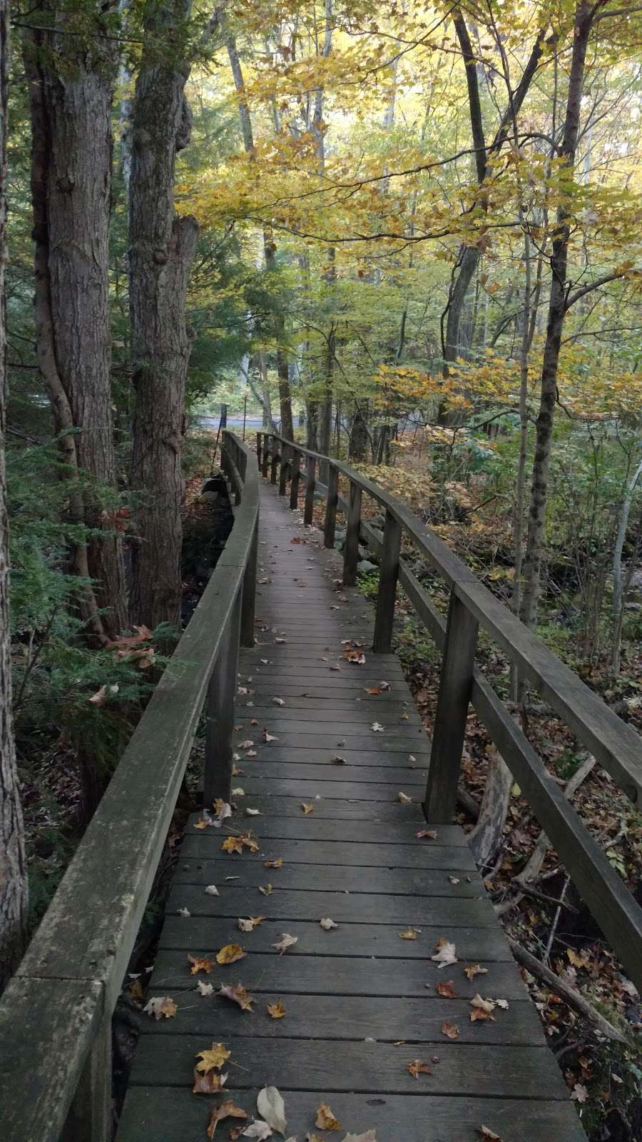 Stonebridge Waterfowl Preserve | 388-398 Newtown Turnpike, Wilton, CT 06897, USA