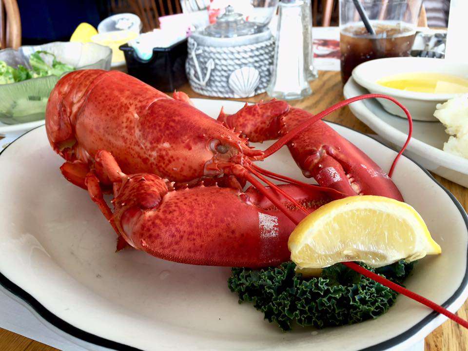 Barnacle Restaurant Inc | 141 Front St, Marblehead, MA 01945, USA | Phone: (781) 631-4236