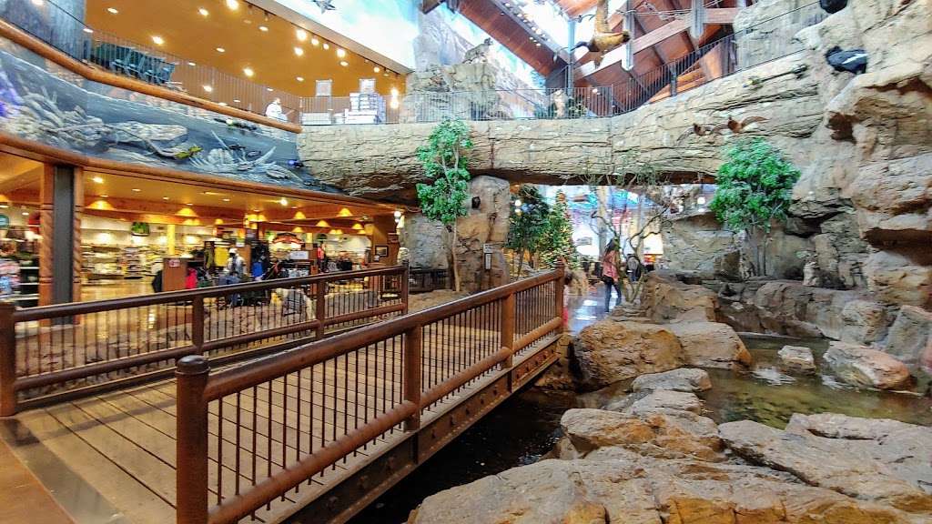 Bass Pro Shops | 1133 N Dobson Rd, Mesa, AZ 85201, USA | Phone: (602) 606-5600