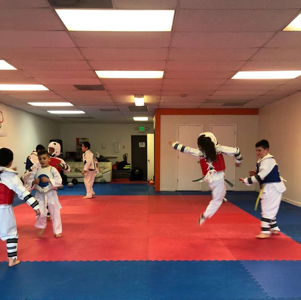 Lake County Taekwondo Martial Arts | 2460 81st Ave, Merrillville, IN 46410, USA | Phone: (219) 402-2082