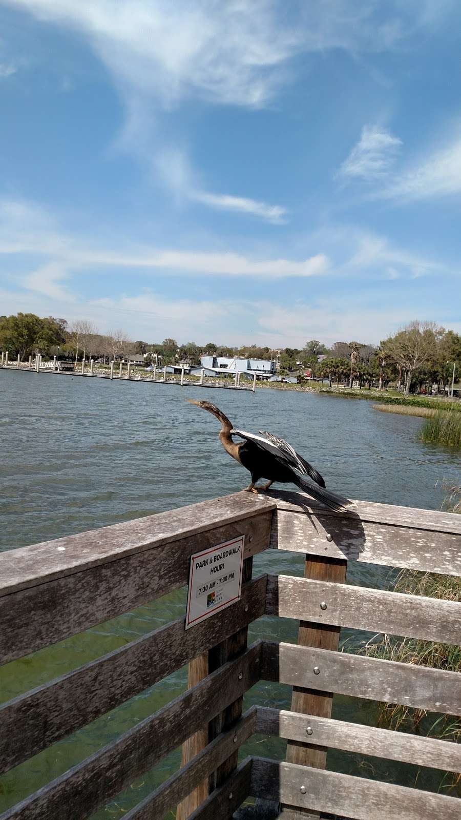 Palm Island Boardwalk | 411 S Tremain St, Mt Dora, FL 32757