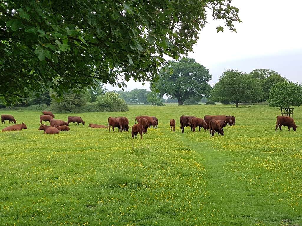 National Trust Hatfield Forest | Takeley, Bishops Stortford CM22 6NE, UK | Phone: 01279 870678