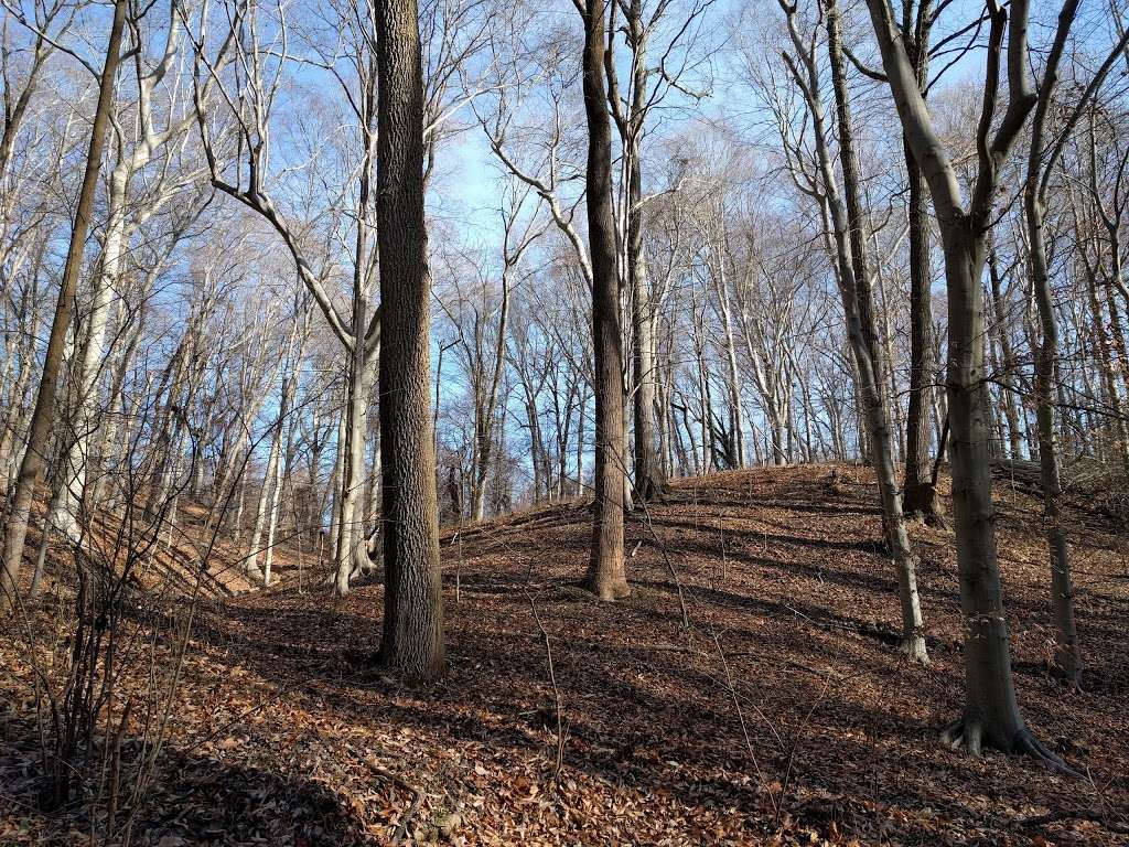 Patapsco State Park, Soapstone Trail start | 1288 S Rolling Rd, Halethorpe, MD 21227