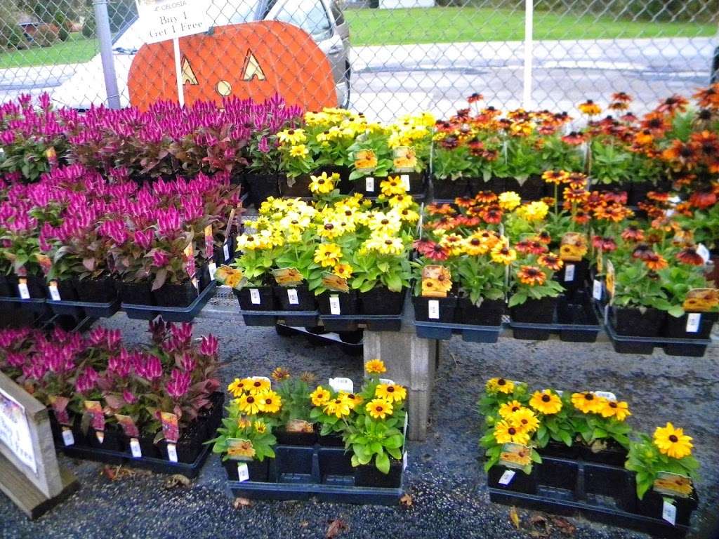 Chesterton Feed & Garden Center | 400 Locust St, Chesterton, IN 46304, USA | Phone: (219) 926-2790