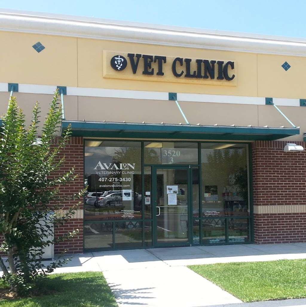 Avalon Veterinary Clinic Inc | 3520 Avalon Park E Blvd #3, Orlando, FL 32828, USA | Phone: (407) 275-3430