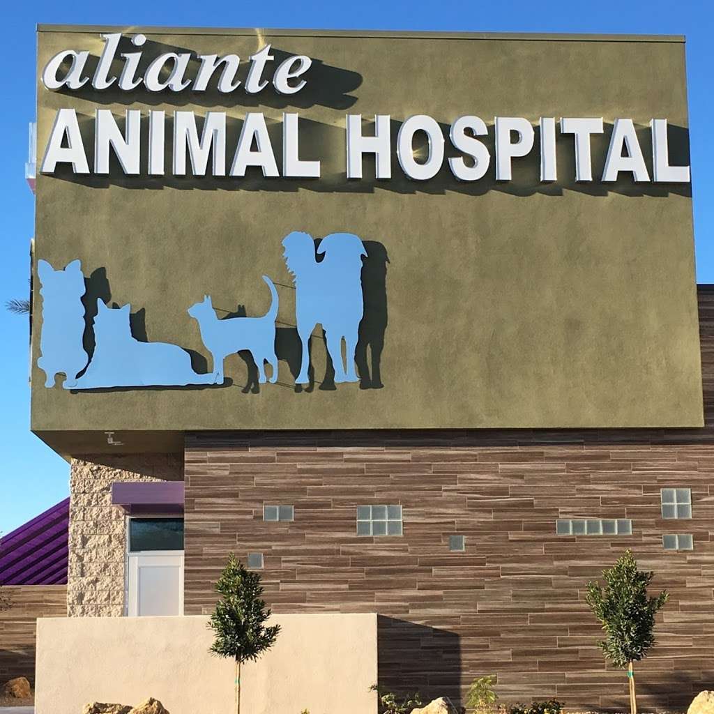 Aliante Animal Hospital | 3310 Elkhorn Rd, North Las Vegas, NV 89084, USA | Phone: (702) 778-4443