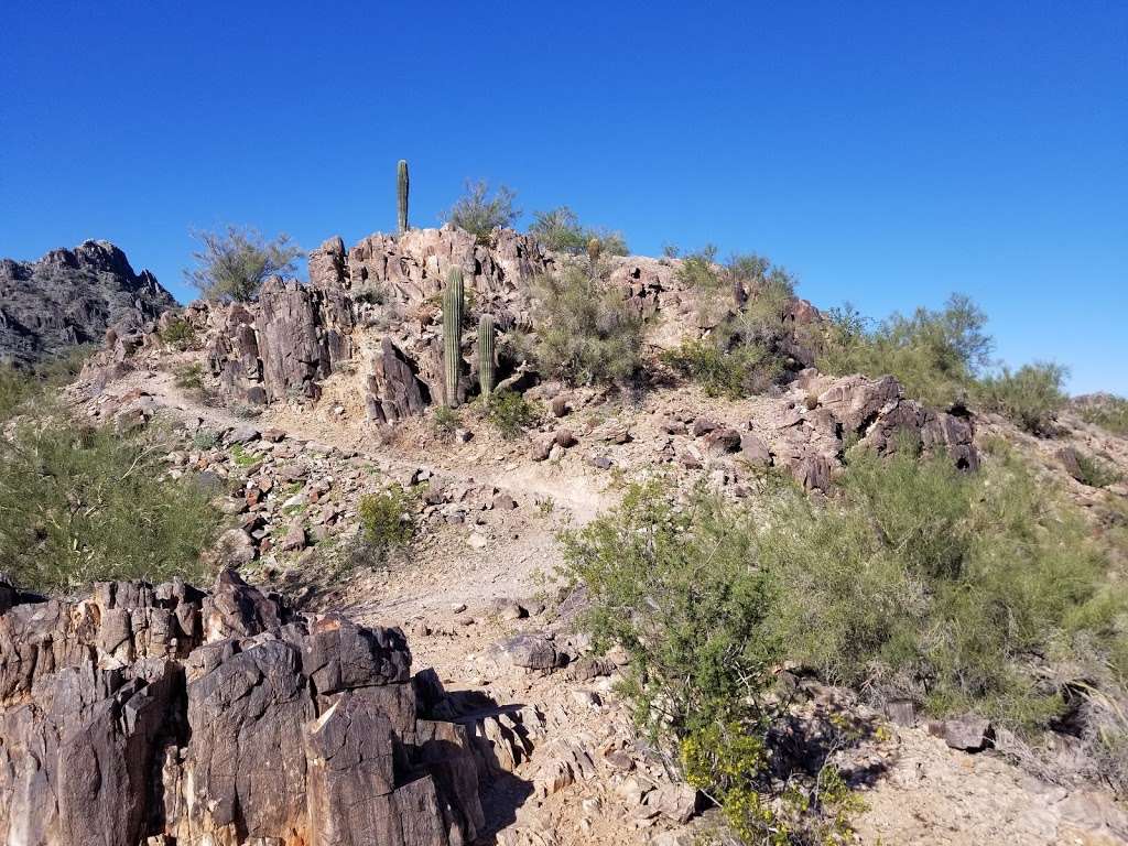 Phoenix Mountains Park | 2701 E Squaw Peak Dr, Phoenix, AZ 85016, USA | Phone: (602) 261-8318