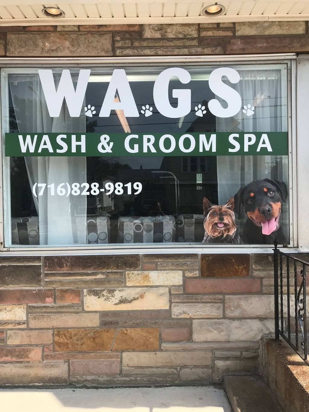 W.A.G.S. Wash & Groom Spa | 3056 South Park Ave, Lackawanna, NY 14218, USA | Phone: (716) 828-9819