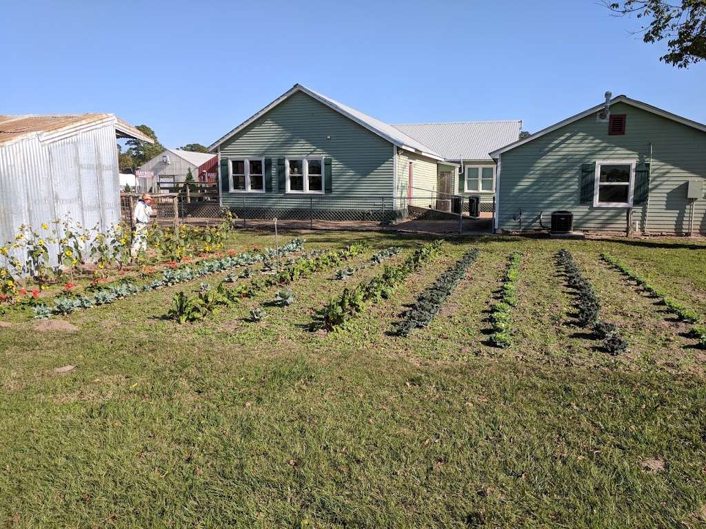 Spring Creek Growers Inc | 23803 Decker Prairie Rosehl Rd, Magnolia, TX 77355 | Phone: (281) 259-8114