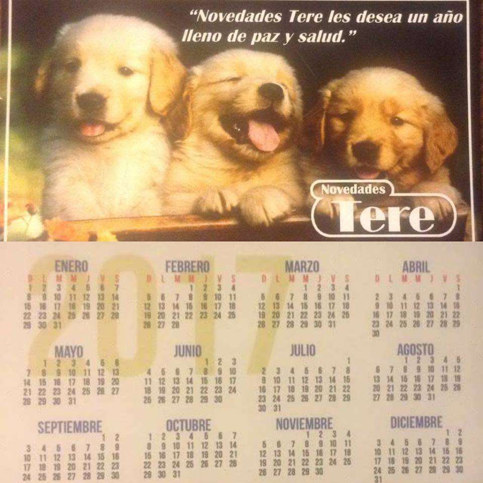 Novedades "Tere" | Local #8, Los Charros 235, Jose Sandoval, 22105 Tijuana, B.C., Mexico | Phone: 664 524 4902