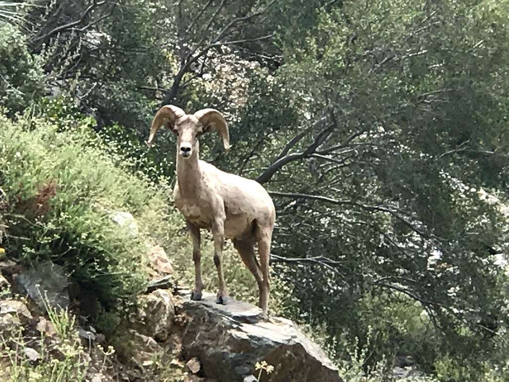 East Fork Trail | La Verne, CA 91750, USA