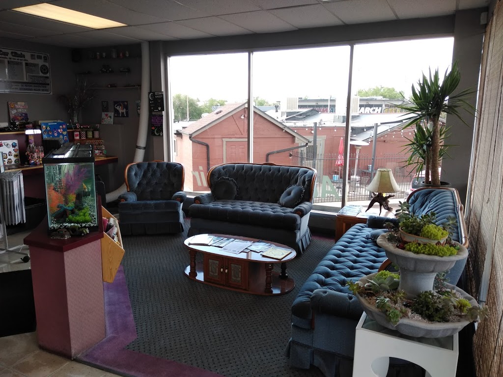 Colorado Car Clinic | 5311 S Broadway, Littleton, CO 80121, USA | Phone: (303) 730-0055