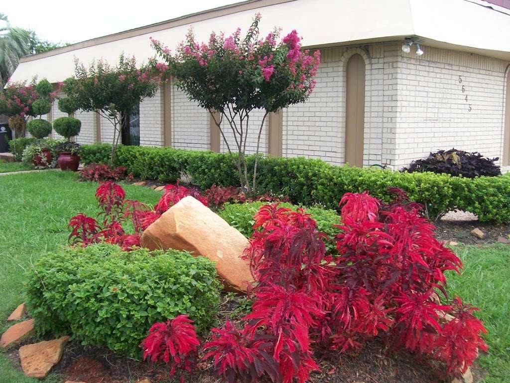 All Peoples Funeral Home | 5645 Reed Rd, Houston, TX 77033, USA | Phone: (713) 734-8200