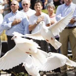 White Dove Release | 708 Indian Trce, Woodstock, IL 60098, USA | Phone: (815) 575-9359