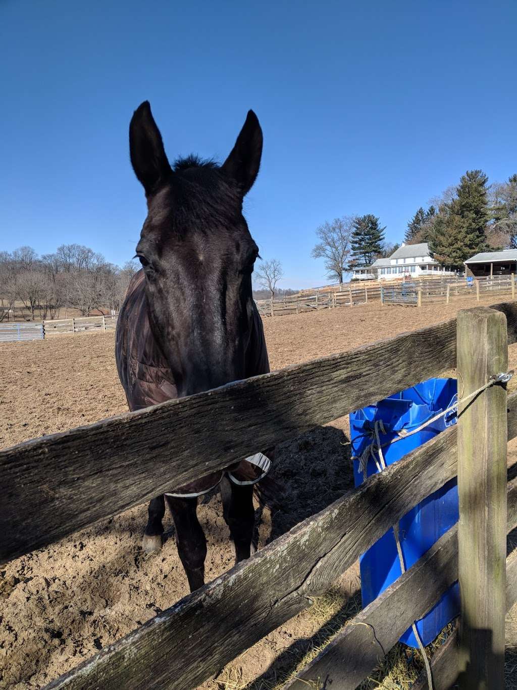 The Stables at Fox Crossing | 501 Walter Rd, Cochranville, PA 19330, USA | Phone: (443) 866-5375