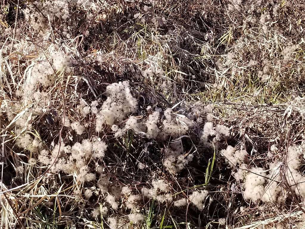 Blue Mash Nature Trail | 20400 Zion Rd, Gaithersburg, MD 20882, USA | Phone: (301) 495-4500