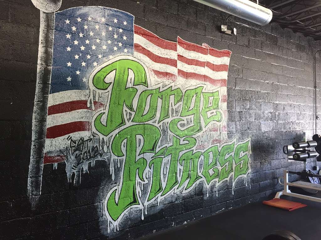 Forge Fitness | 141 N Main St, Crystal Lake, IL 60014 | Phone: (815) 356-9880