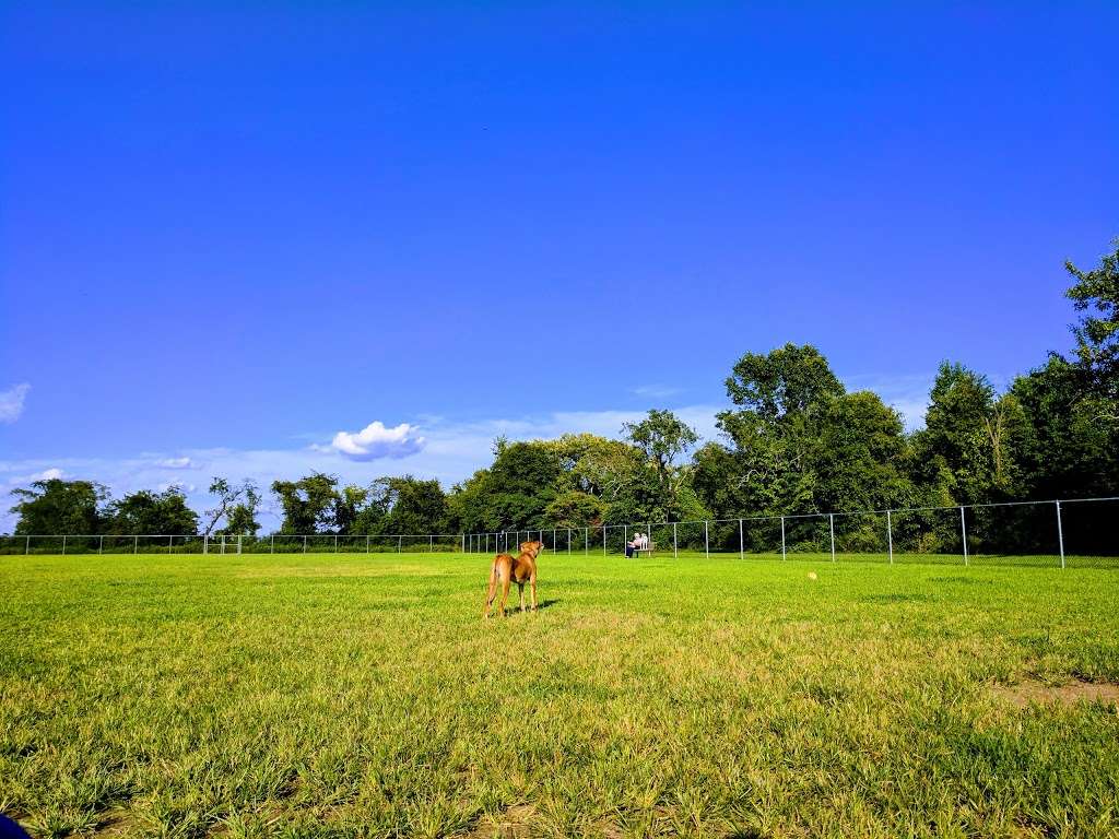 Gloucester County Dog Park | 2401 County Rd 662, Logan Township, NJ 08085, USA