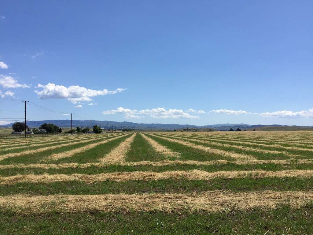 Fresh Strawberries and Produce | 4270 N Livermore Ave, Livermore, CA 94551, USA