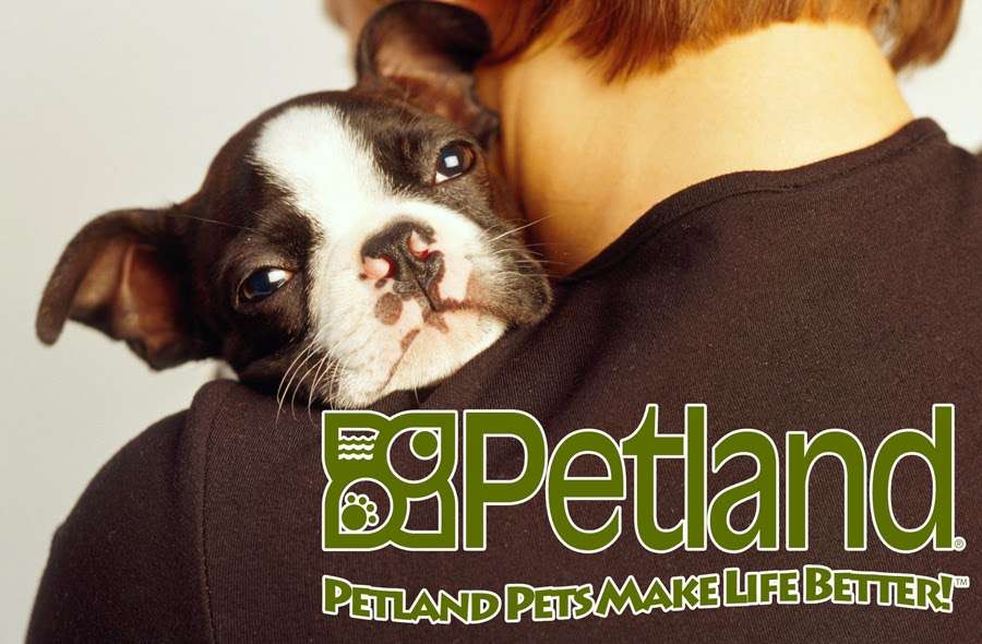 Petland | 7911 151st St, Overland Park, KS 66223, USA | Phone: (913) 498-9814