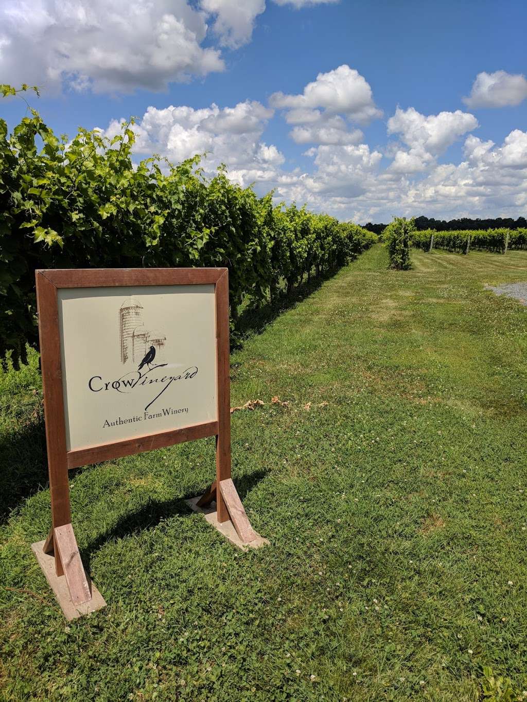 Crow Vineyard & Winery | 12441 Vansant Corner Rd, Kennedyville, MD 21645 | Phone: (302) 304-0551