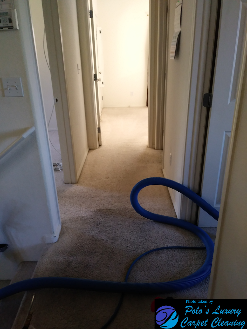 Polos Luxury Carpet Cleaning | 4477 N Arlington Park Ct, Las Vegas, NV 89110, USA | Phone: (702) 881-8349