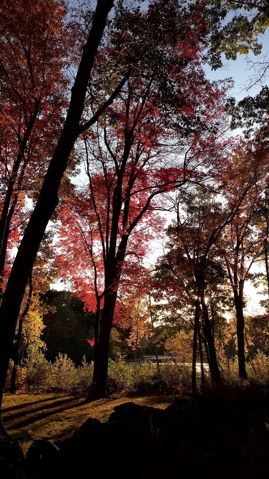 Ames Pond Corp Park | Tewksbury, MA 01876, USA