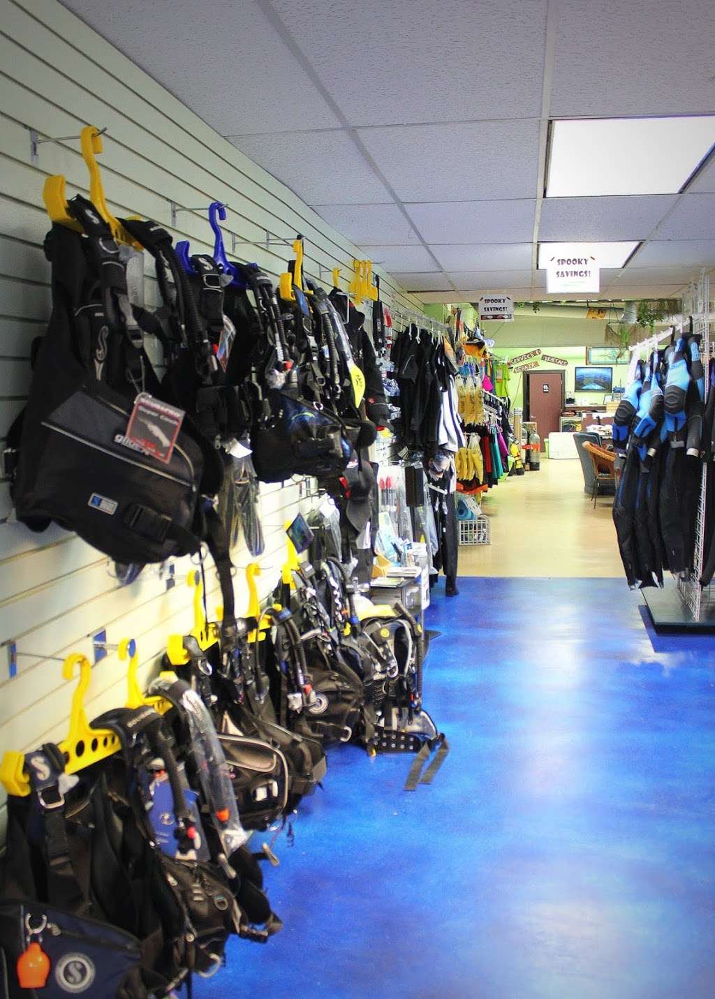 Denver Divers and The Swim School of Denver | 557 Milwaukee St, Denver, CO 80206, USA | Phone: (303) 399-2877