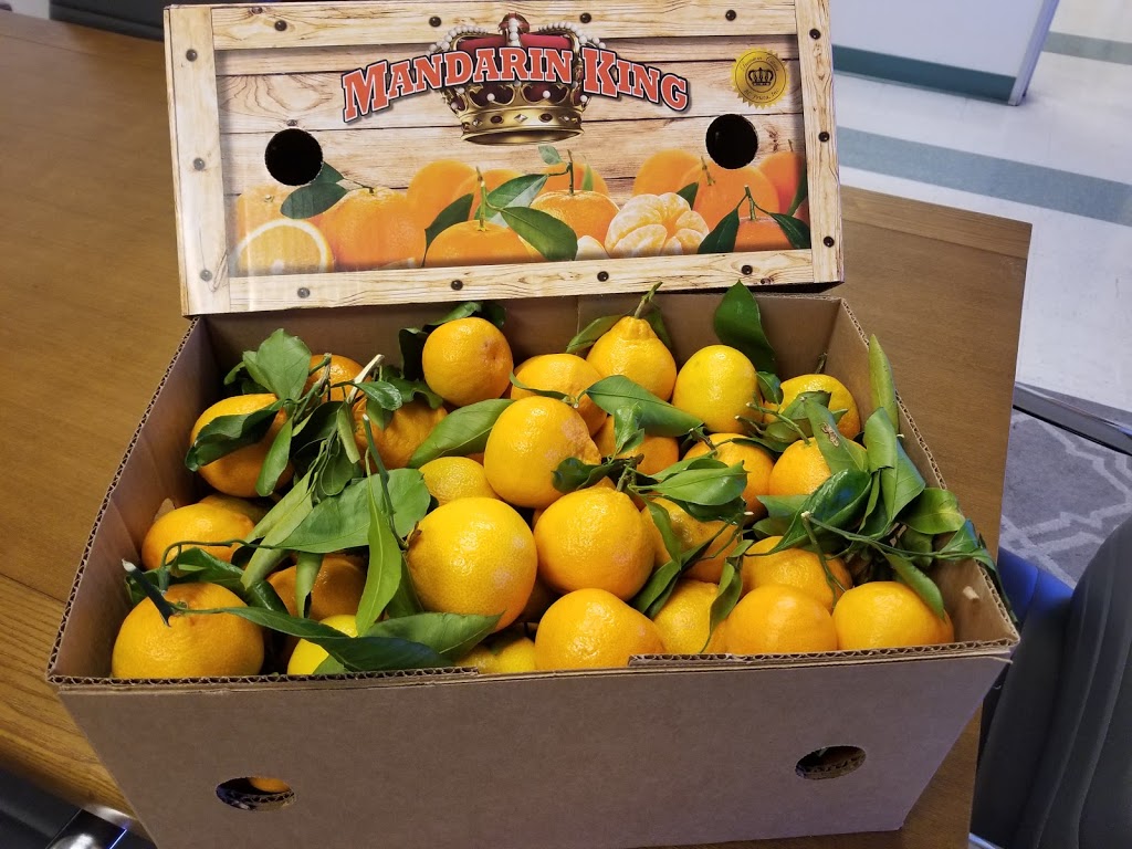 MG Produce | 2910 Ross St, Vernon, CA 90058, USA | Phone: (323) 432-5300