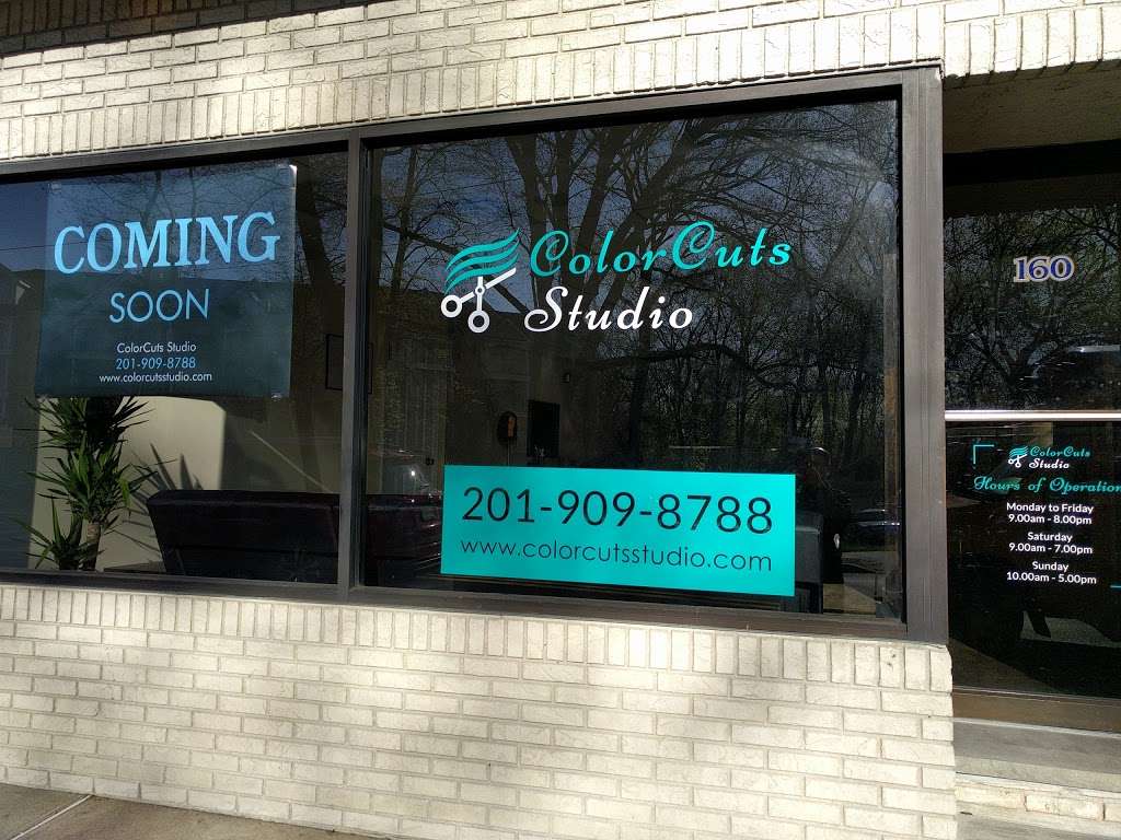 Color Cuts Studio | 160 Rochelle Ave, Rochelle Park, NJ 07662, USA | Phone: (201) 909-8788