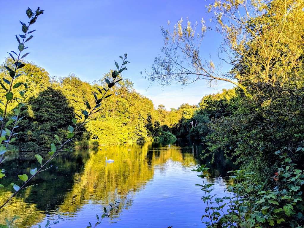 Digswell Lake Nature Reserve | Digswell Park Rd, Welwyn, Welwyn Garden City AL8 7NW, UK | Phone: 0845 003 5253