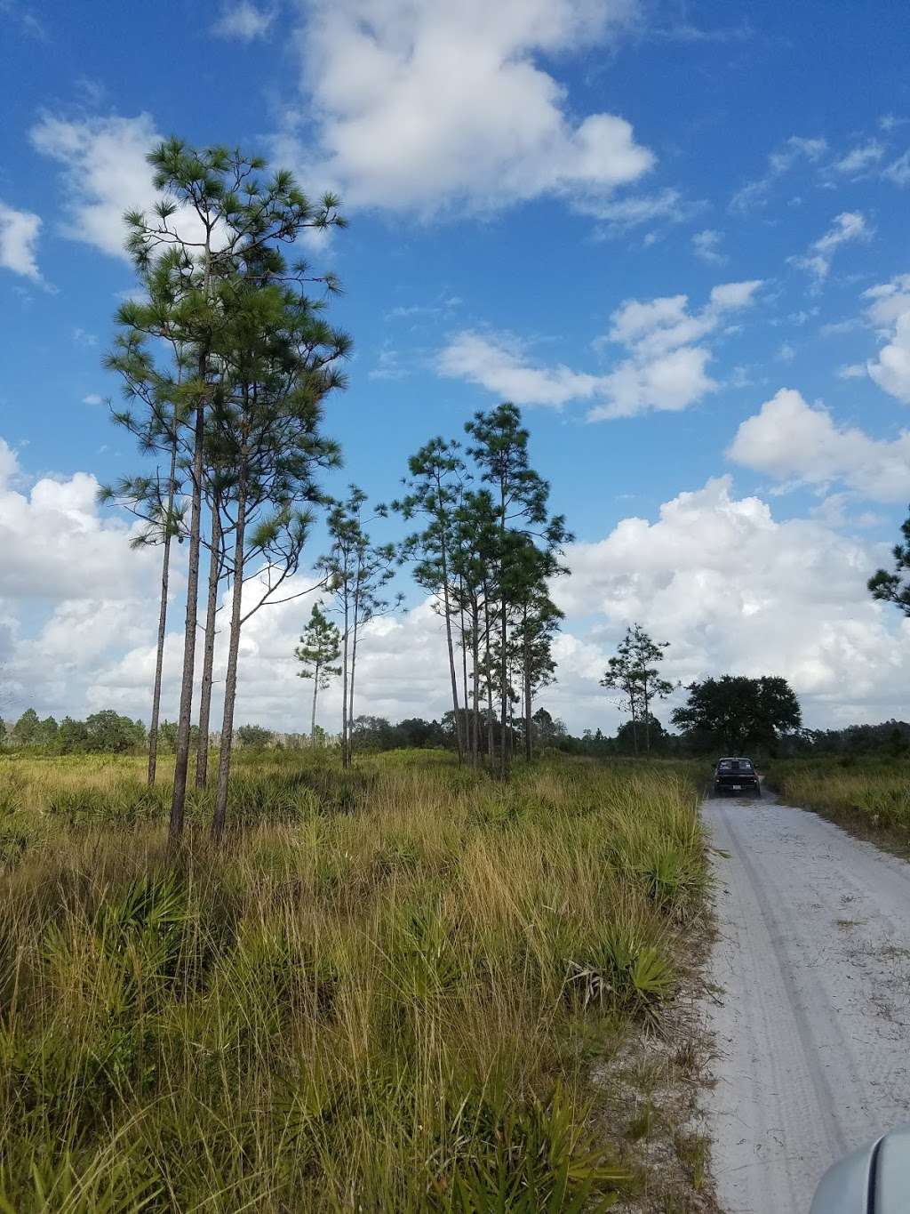 Three Lakes Wildlife Management Area | 1231 Prairie Lakes Rd, Kenansville, FL 34739, USA | Phone: (352) 732-1225