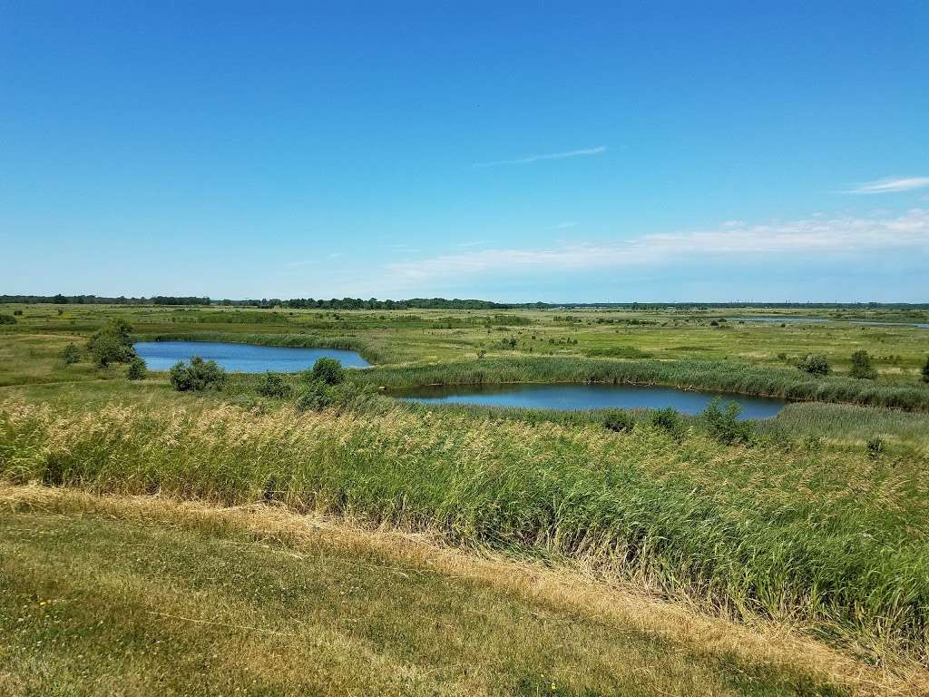 Goose Lake Prairie State Natural Area | 5010 N Jugtown Rd, Morris, IL 60450, USA | Phone: (815) 942-2899