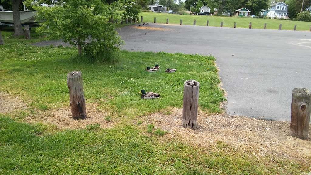 Woodland Beach Wildlife Management Area, Smyrna, Delaware | Beach Ave, Smyrna, DE 19977, USA