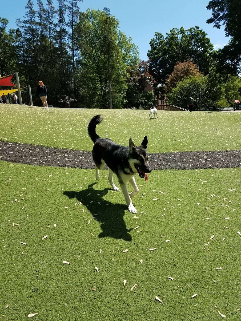 Buchanan Dog Park | 901 Buchanan Ave, Lancaster, PA 17603, USA | Phone: (717) 291-4841