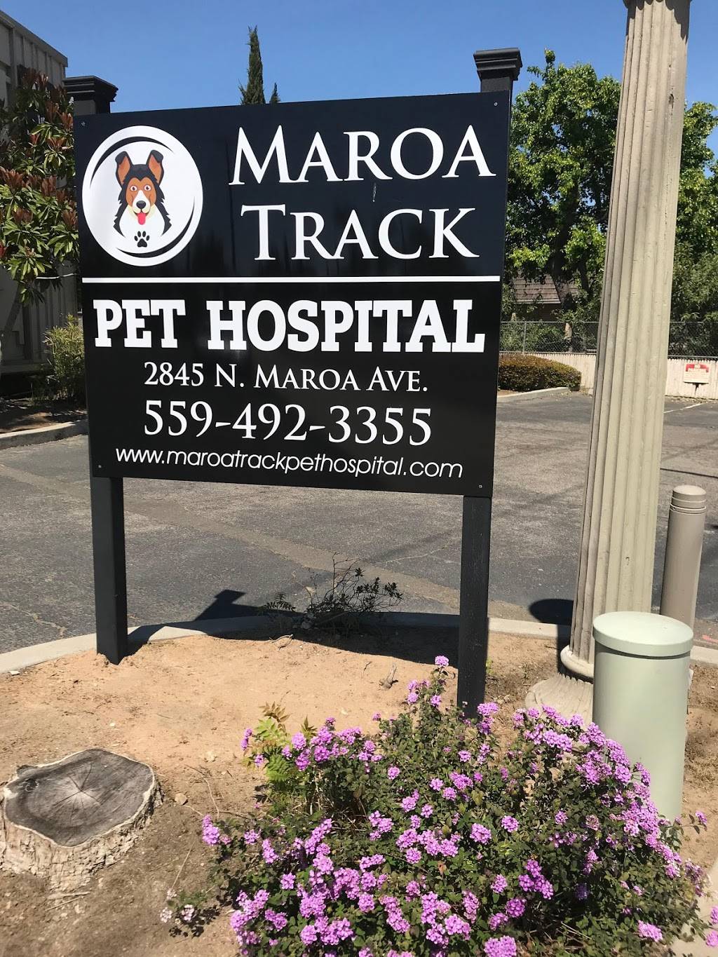 Maroa Track Pet Hospital | 2845 N Maroa Ave, Fresno, CA 93704, USA | Phone: (559) 492-3355