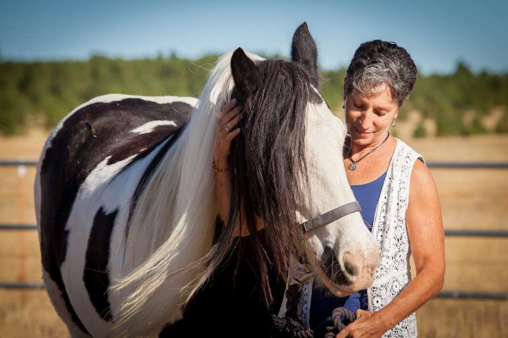 Step Into Joy Healing Arts | 5513 Haverhill Ln, Doylestown, PA 18902, USA | Phone: (267) 272-9343