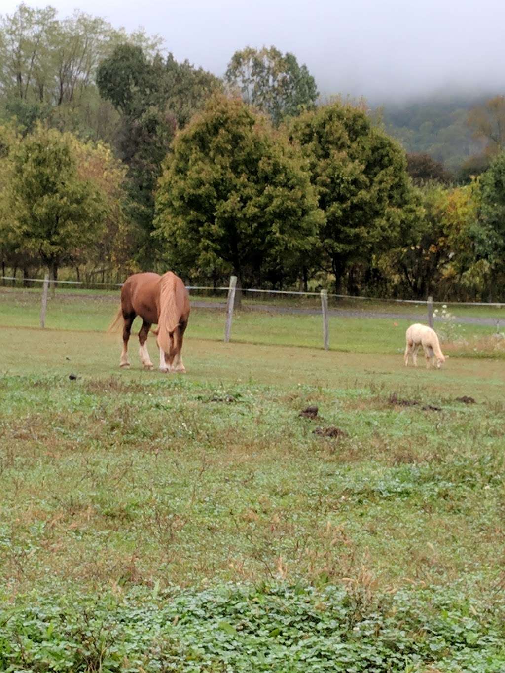 Valley Shepherd Creamery | 50 Fairmount Rd, Long Valley, NJ 07853, USA | Phone: (908) 876-3200