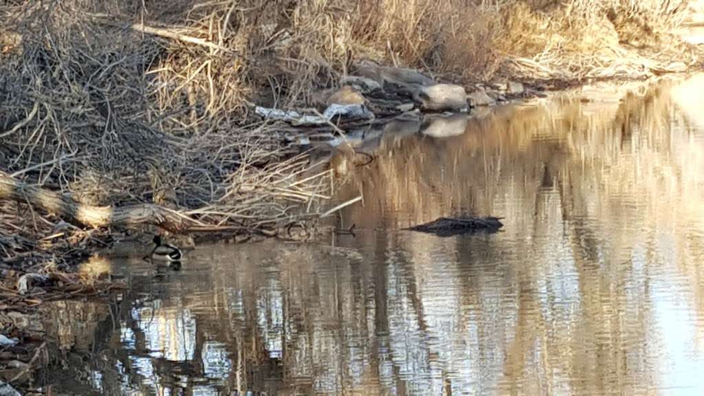 Bear Creek Lake City Park (recgovnpsdata) | Lakewood, CO 80228