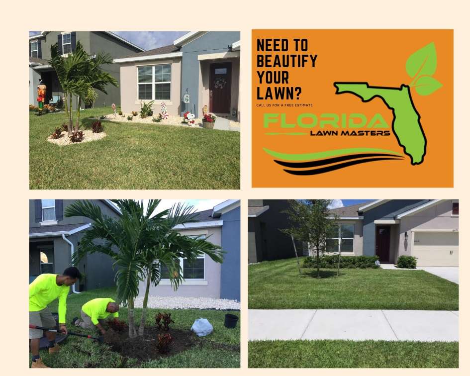 Florida Lawn Masters | 3669 Maidencain St, Clermont, FL 34714, USA | Phone: (407) 801-3017