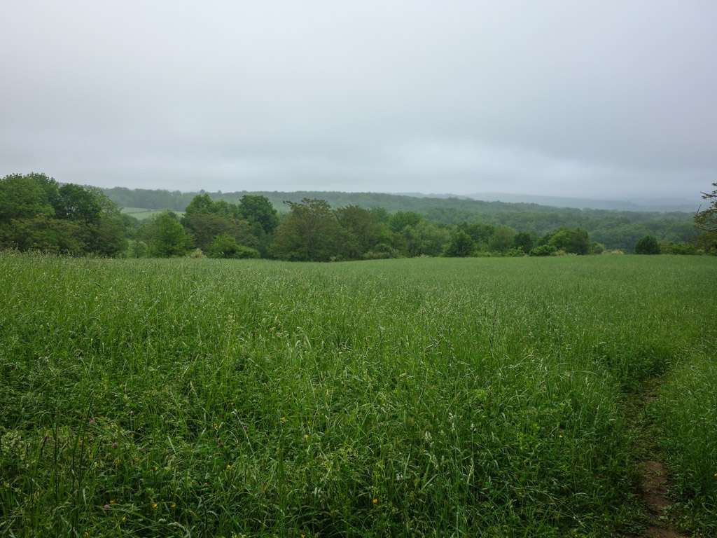 Appalachian Trail | Courtright Rd, Wantage, NJ 07461