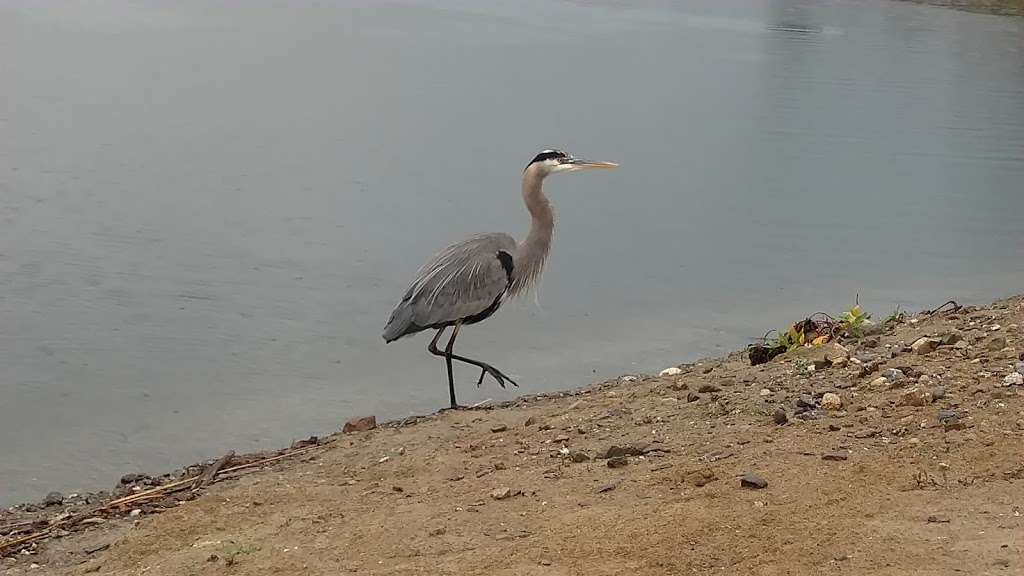 Napa County Regional Park District - Lake Hennessey City Recreat | St Helena, CA 94574, USA