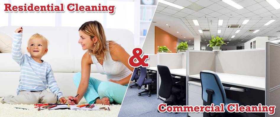 Stoll Rug & Furniture Cleaners | 5240 Lewis Ave, Toledo, OH 43612 | Phone: (419) 478-0581
