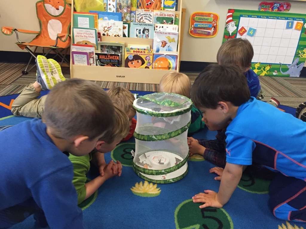 Parker Core Knowledge Preschool & Junior Kindergarten | 11661 North Pine Drive, Preschool Entrance, Parker, CO 80138, USA | Phone: (303) 840-8461