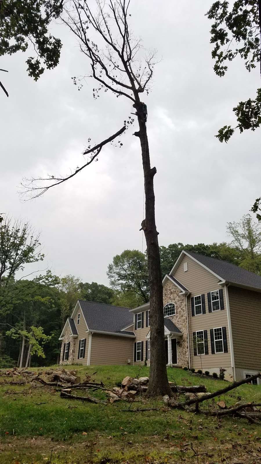 Mighty Log Tree Service, LLC | 102 Hardy Ln, Coatesville, PA 19320, USA | Phone: (484) 482-7208