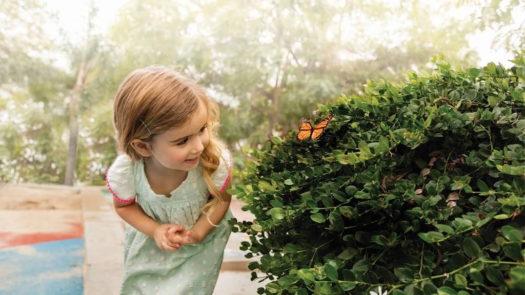 Primrose School of West Chandler | 4800 W Chandler Blvd, Chandler, AZ 85226, USA | Phone: (480) 912-6064