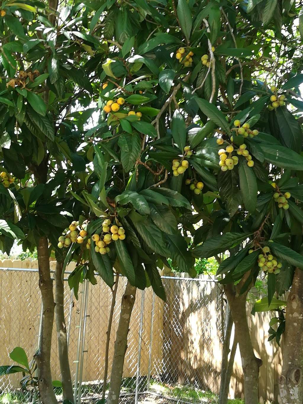 northampton converse tx